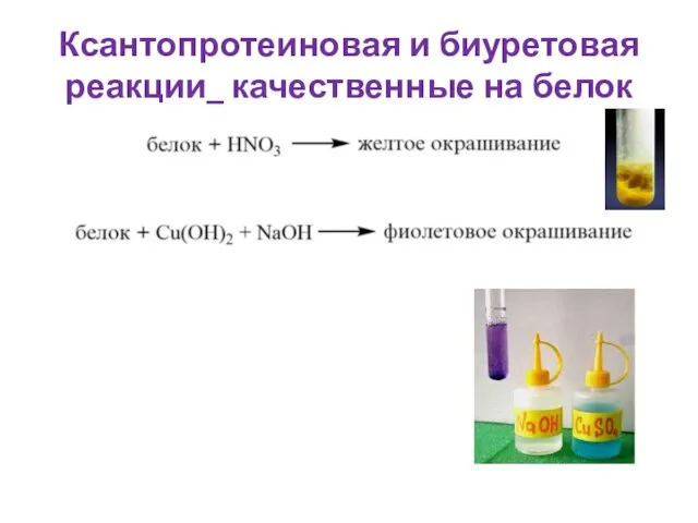 Ксантопротеиновая и биуретовая реакции_ качественные на белок