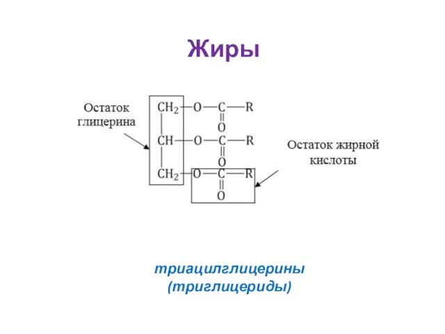 триацилглицерины (триглицериды) Жиры