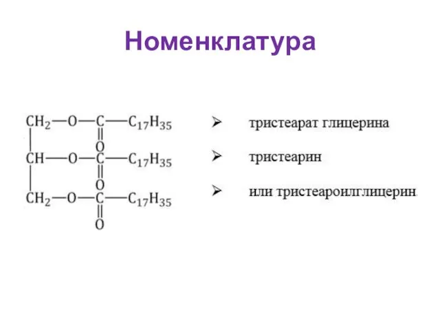 Номенклатура