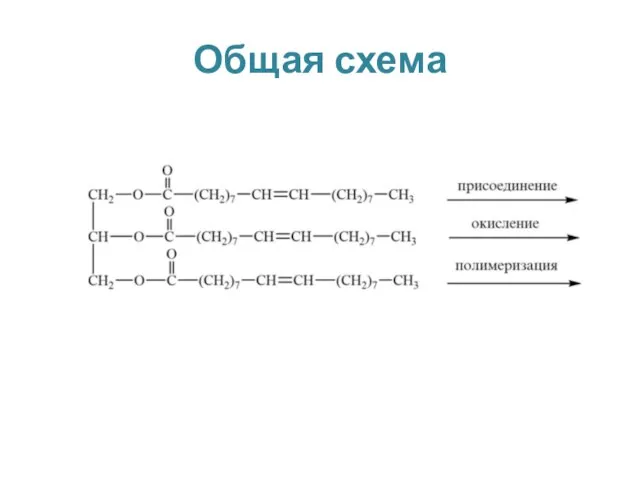 Общая схема