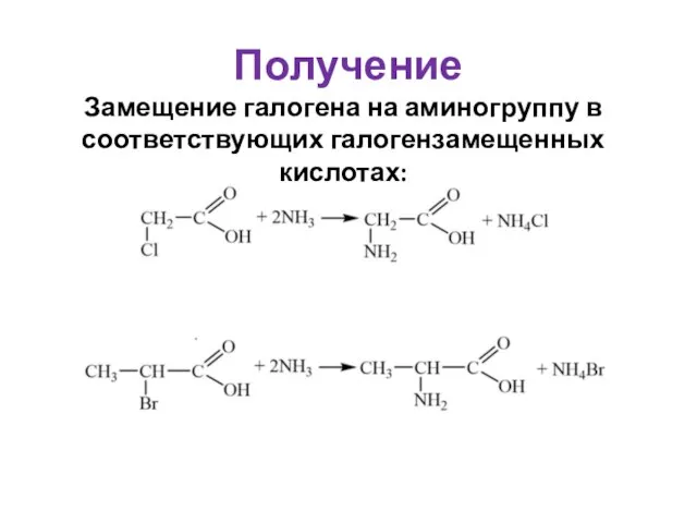 Получение Замещение галогена на аминогруппу в соответствующих галогензамещенных кислотах: