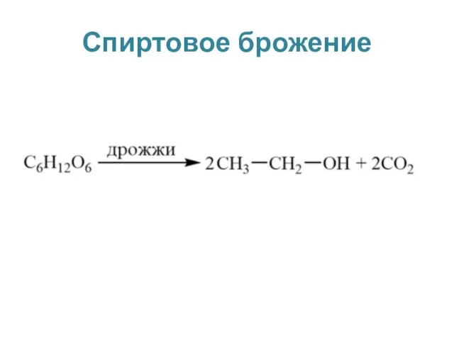 Спиртовое брожение