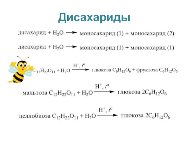 Дисахариды