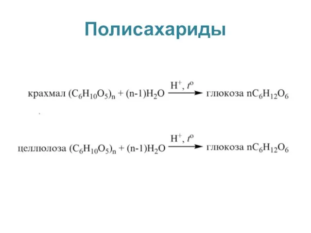 Полисахариды