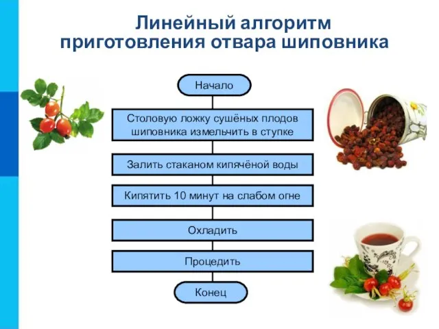 Начало Столовую ложку сушёных плодов шиповника измельчить в ступке Залить стаканом кипячёной