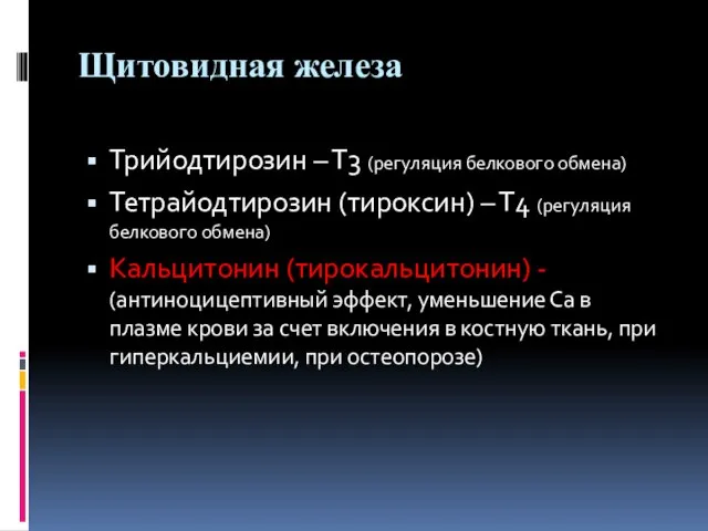 Щитовидная железа Трийодтирозин – Т3 (регуляция белкового обмена) Тетрайодтирозин (тироксин) – Т4