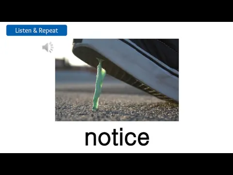 notice