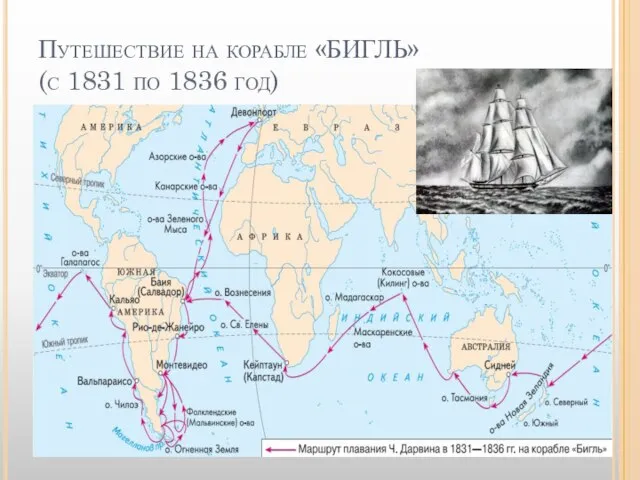 Путешествие на корабле «БИГЛЬ» (с 1831 по 1836 год)