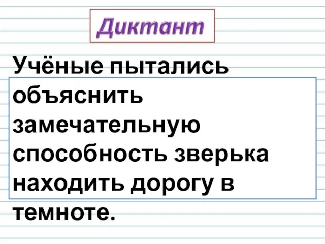 Учёные пытались объяснить замечательную способность зверька находить дорогу в темноте.