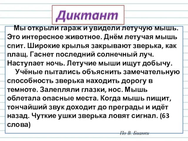 Мы открыли гараж и увидели летучую мышь. Это интересное животное. Днём летучая