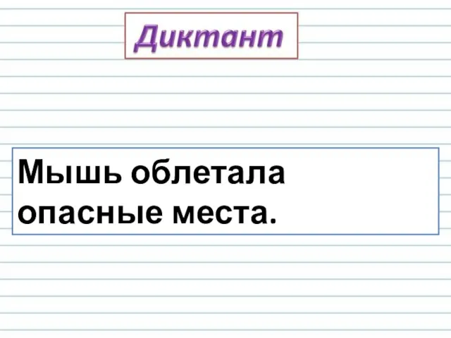 Мышь облетала опасные места.