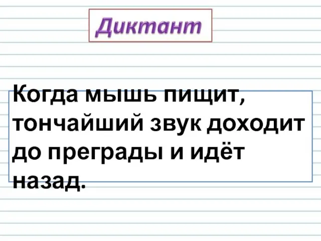 Когда мышь пищит, тончайший звук доходит до преграды и идёт назад.