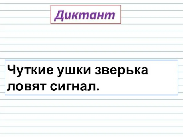 Чуткие ушки зверька ловят сигнал.