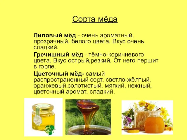 Сорта мёда Липовый мёд - очень ароматный, прозрачный, белого цвета. Вкус очень