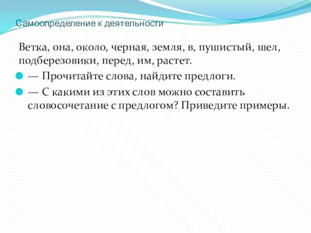 Самоопределение к деятельности Ветка, она, около, черная, земля, в, пушистый, шел, подберезовики,