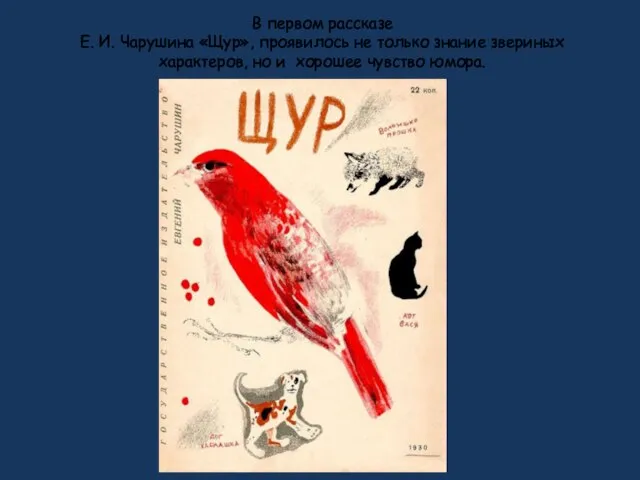 В первом рассказе Е. И. Чарушина «Щур», проявилось не только знание звериных