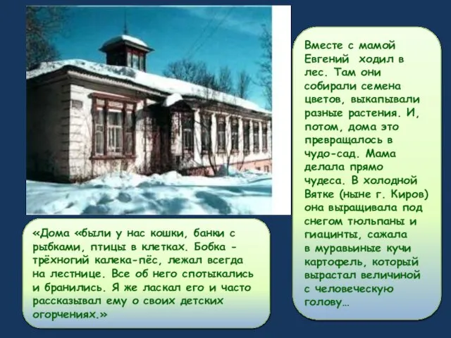 Вместе с мамой Евгений ходил в лес. Там они собирали семена цветов,