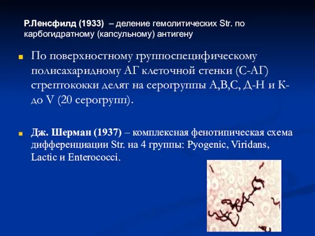 По поверхностному группоспецифическому полисахаридному АГ клеточной стенки (С-АГ) стрептококки делят на серогруппы