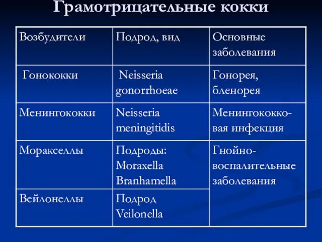 Грамотрицательные кокки