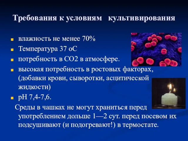 Требования к условиям культивирования влажность не менее 70% Температура 37 оС потребность