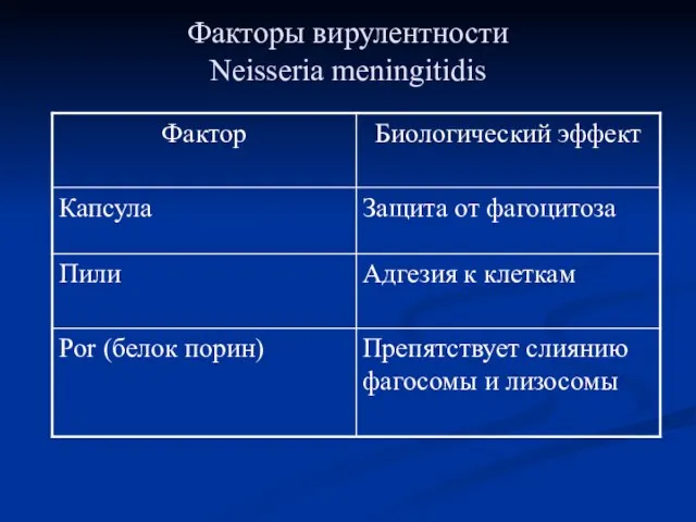 Факторы вирулентности Neisseria meningitidis