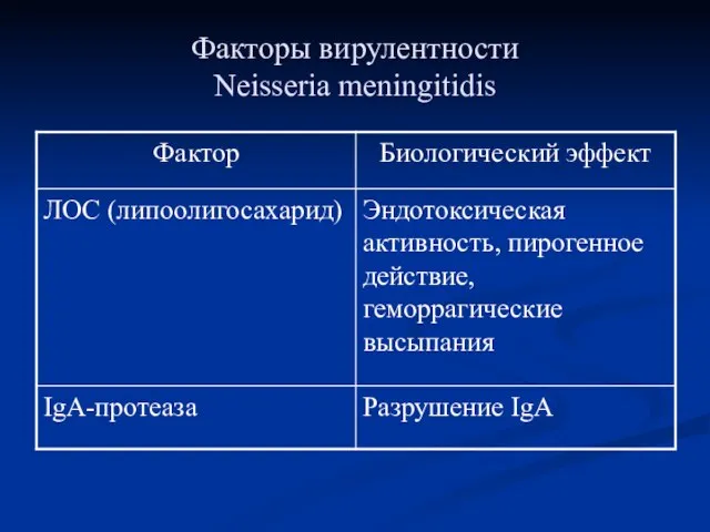 Факторы вирулентности Neisseria meningitidis