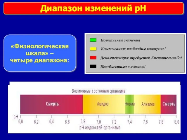 Диапазон изменений pH «Физиологическая шкала» – четыре диапазона: