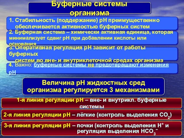 Буферные системы организма 1. Стабильность (поддержание) pH преимущественно обеспечивается активностью буферных систем