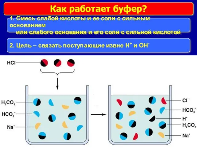 Как работает буфер? 1. Смесь слабой кислоты и ее соли с сильным