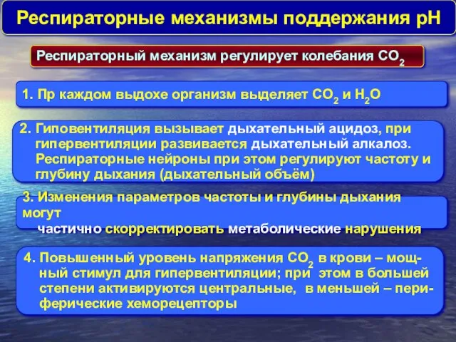 Респираторные механизмы поддержания pH 1. Пр каждом выдохе организм выделяет CO2 и