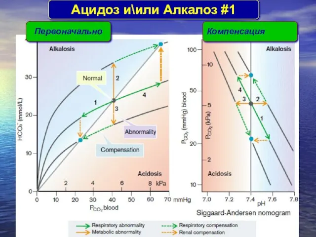 Aцидоз и\или Aлкалоз #1 Первоначально Компенсация