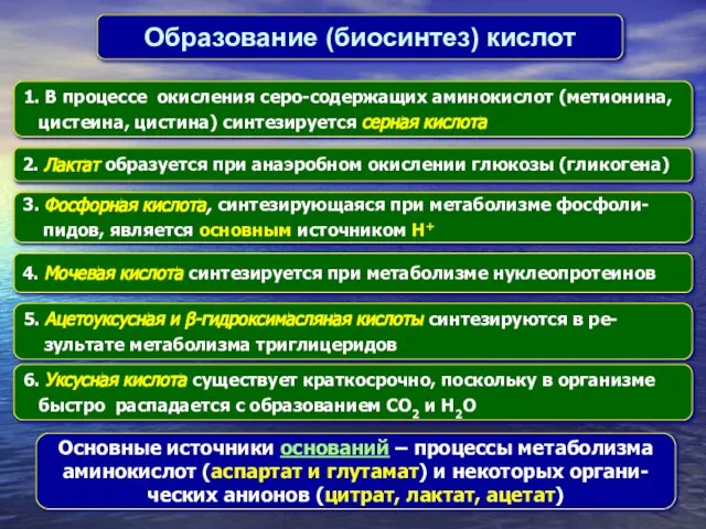 Образование (биосинтез) кислот 1. В процессе окисления серо-содержащих аминокислот (метионина, цистеина, цистина)