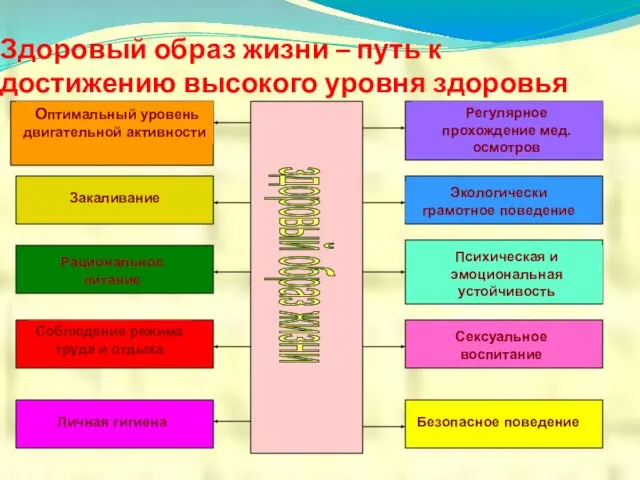 Здоровый образ жизни – путь к достижению высокого уровня здоровья здоровый образ жизни