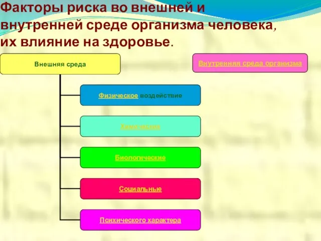 Факторы риска во внешней и внутренней среде организма человека, их влияние на здоровье. Внутренняя среда организма