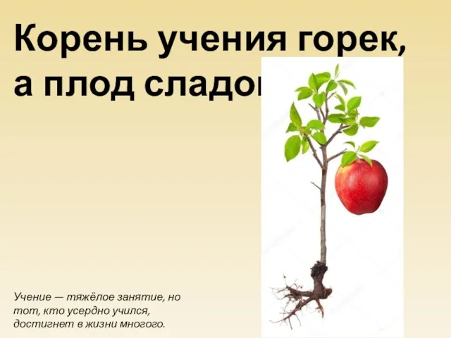 Учение — тяжёлое занятие, но тот, кто усердно учился, достигнет в жизни