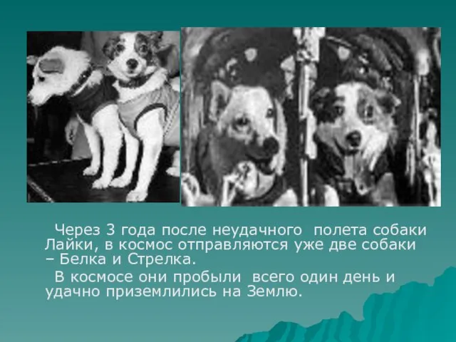 Через 3 года после неудачного полета собаки Лайки, в космос отправляются уже