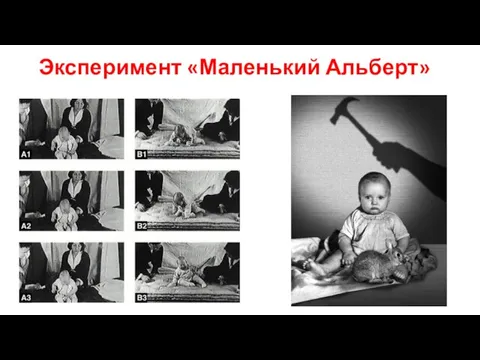 Эксперимент «Маленький Альберт»