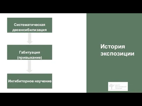 Систематическая десенсибилизация История экспозиции Габитуация (привыкание) Ингибиторное научение