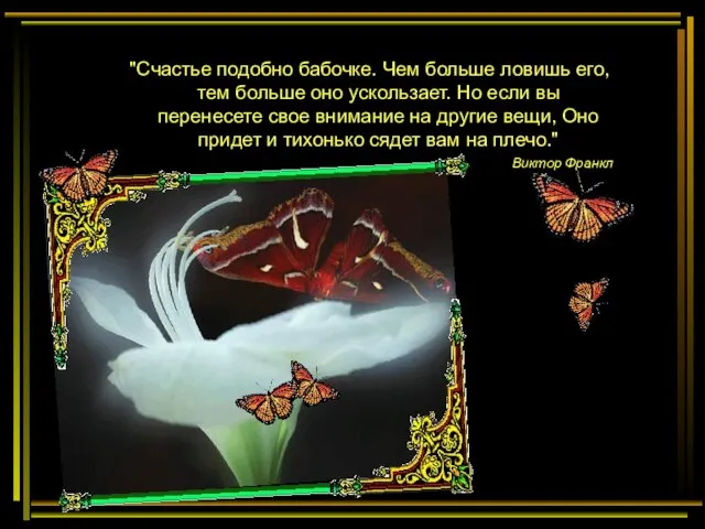 "Счастье подобно бабочке. Чем больше ловишь его, тем больше оно ускользает. Но