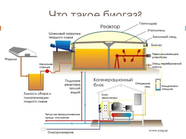 Что такое биогаз? Биогаз — газ, получаемый водородным или метановым брожением биомассы.