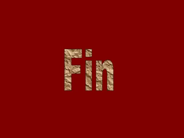 Fin