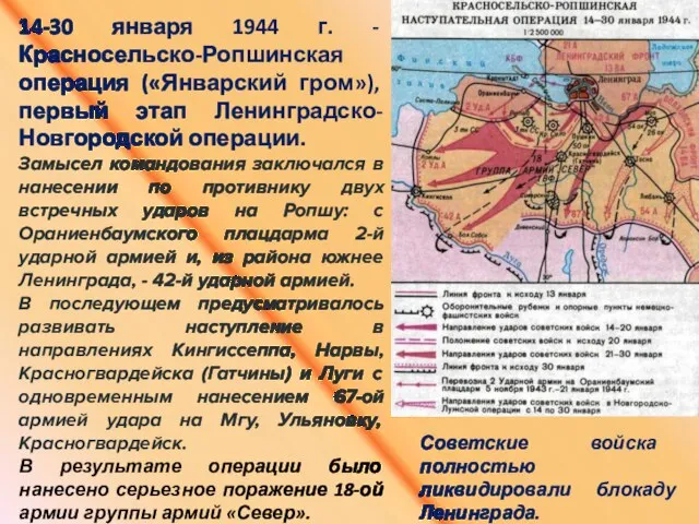 14-30 января 1944 г. - Красносельско-Ропшинская операция («Январский гром»), первый этап Ленинградско-Новгородской