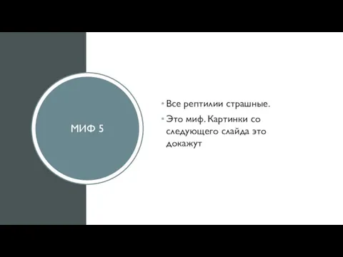 МИФ 5 Все рептилии страшные. Это миф. Картинки со следующего слайда это докажут