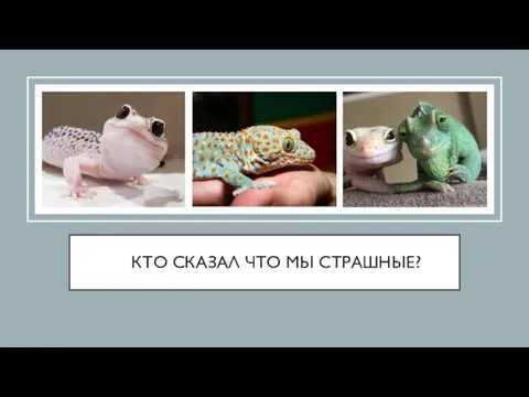 КТО СКАЗАЛ ЧТО МЫ СТРАШНЫЕ?