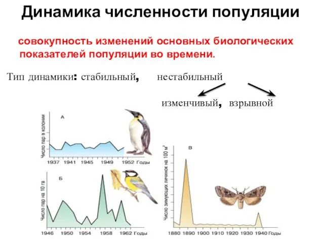 совокупность изменений основных биологических показателей популяции во времени. Тип динамики: стабильный, нестабильный