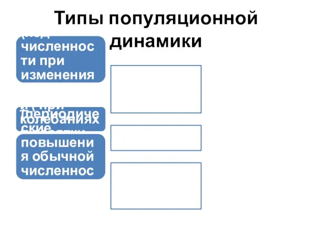 Типы популяционной динамики Стабильный (ход численности при изменениях всего в несколько раз)