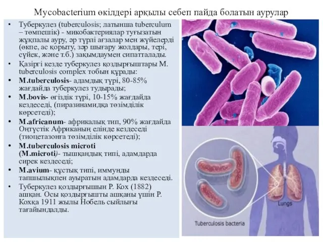 Mycobacterium өкілдері арқылы себеп пайда болатын аурулар Туберкулез (tuberculosis; латынша tuberculum –