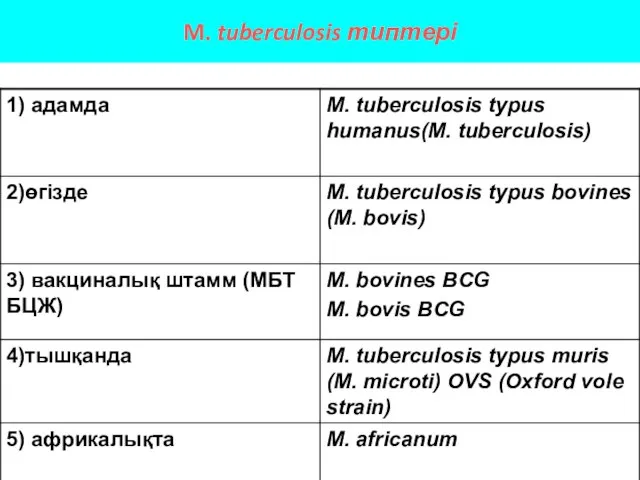 M. tuberculosis типтері