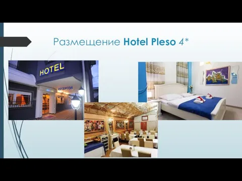 Размещение Hotel Pleso 4*