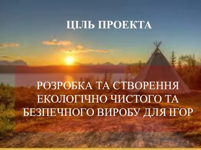 ЦІЛЬ ПРОЕКТА РОЗРОБКА ТА СТВОРЕННЯ ЕКОЛОГІЧНО ЧИСТОГО ТА БЕЗПЕЧНОГО ВИРОБУ ДЛЯ ІГОР